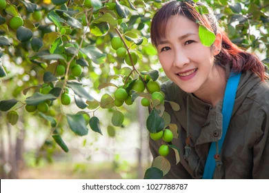 خواص عناب برای پوست